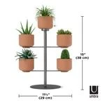 Umbra Terrapotta Planter