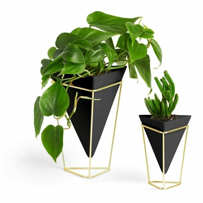 Umbra Behalter Trigg 2 Er Set Schwarz Goldfarben 3 Umbra Behalter Trigg 2 Er Set Schwarz Goldfarben