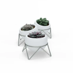 Umbra White Nickel Potsy Planter 7 Umbra White Nickel Potsy Planter