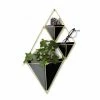 Umbra Wandvase Trigg Klein Schwarz Goldfarben 2 Er Set 2 Umbra Wandvase Trigg Klein Schwarz Goldfarben 2 Er Set