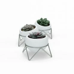 Umbra Set of 3 White & Nickel Potsy Planters
