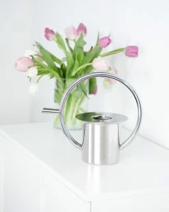 Umbra Stainless Steel Quench Watering Can 9 Umbra Stainless Steel Quench Watering Can