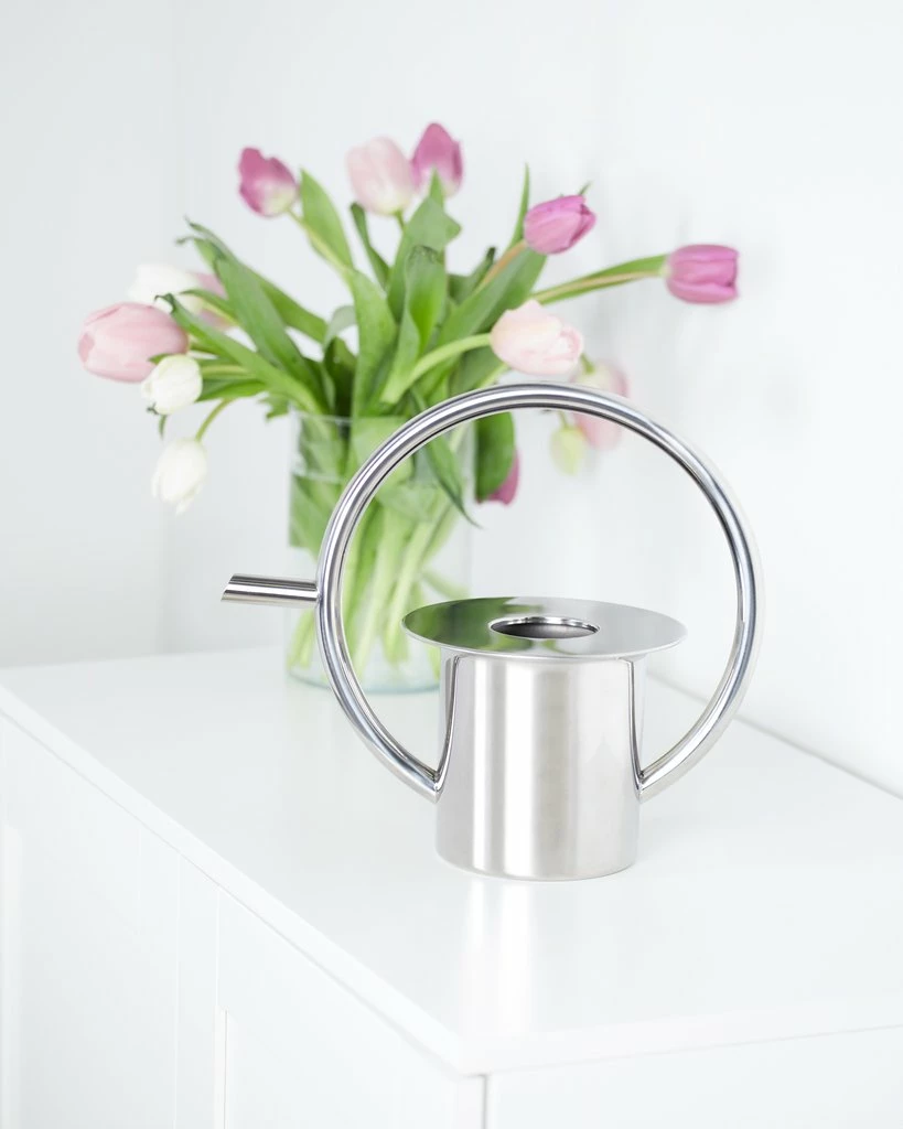 Umbra Stainless Steel Quench Watering Can 6 Umbra Stainless Steel Quench Watering Can