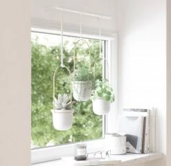 Umbra Triflora White and Brass 3 Hanging Planters 8 Umbra Triflora White and Brass 3 Hanging Planters