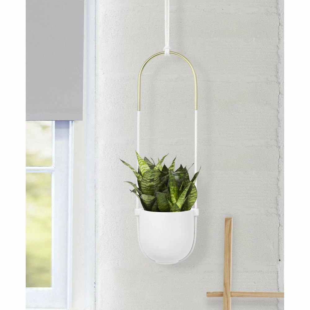 Umbra White Bolo Hanging Planter 6 Umbra White Bolo Hanging Planter