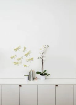 Umbra Set of 8 Brass Wallflutter Dragonfly Wall Display 5 Umbra Set of 8 Brass Wallflutter Dragonfly Wall Display