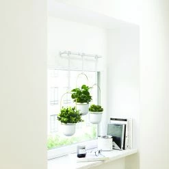 Umbra White/Brass Triflora Hanging Planter 25 Umbra White/Brass Triflora Hanging Planter