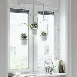 Umbra White/Brass Triflora Hanging Planter 21 Umbra White/Brass Triflora Hanging Planter