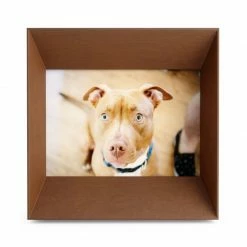 Umbra Cadre Photo 13x18cm Lookout Noyer 8 Umbra Cadre Photo 13x18cm Lookout Noyer