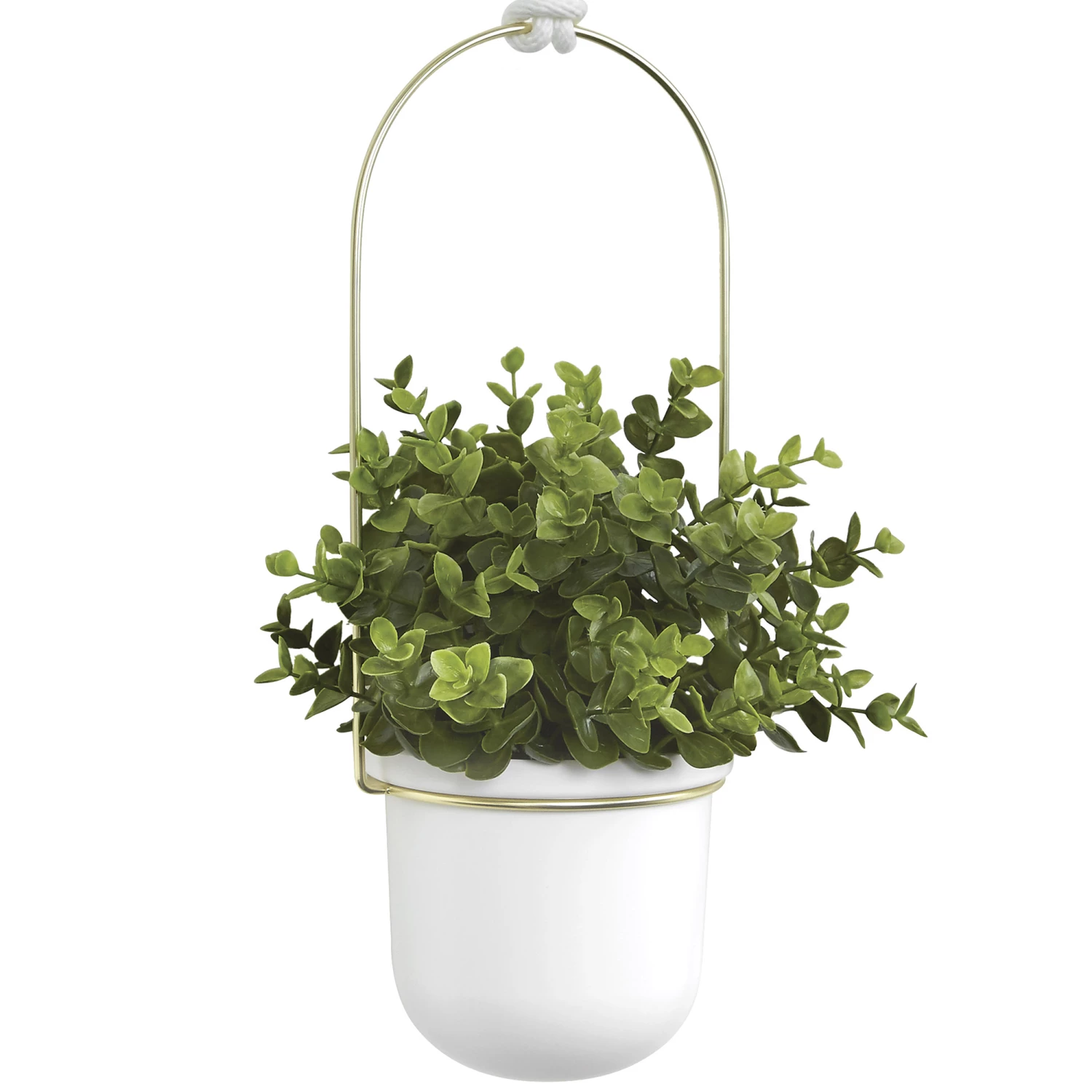 Umbra White/Brass Triflora Hanging Planter 9 Umbra White/Brass Triflora Hanging Planter