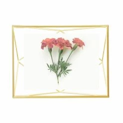 Umbra 4 x 6 Matt Brass Prisma Photo Frame