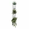 Umbra Set of 3 White Floralink Wall-Mounted Organiser/Planters 1 Umbra Set of 3 White Floralink Wall-Mounted Organiser/Planters