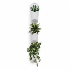Umbra Set of 3 White Floralink Wall-Mounted Organiser/Planters