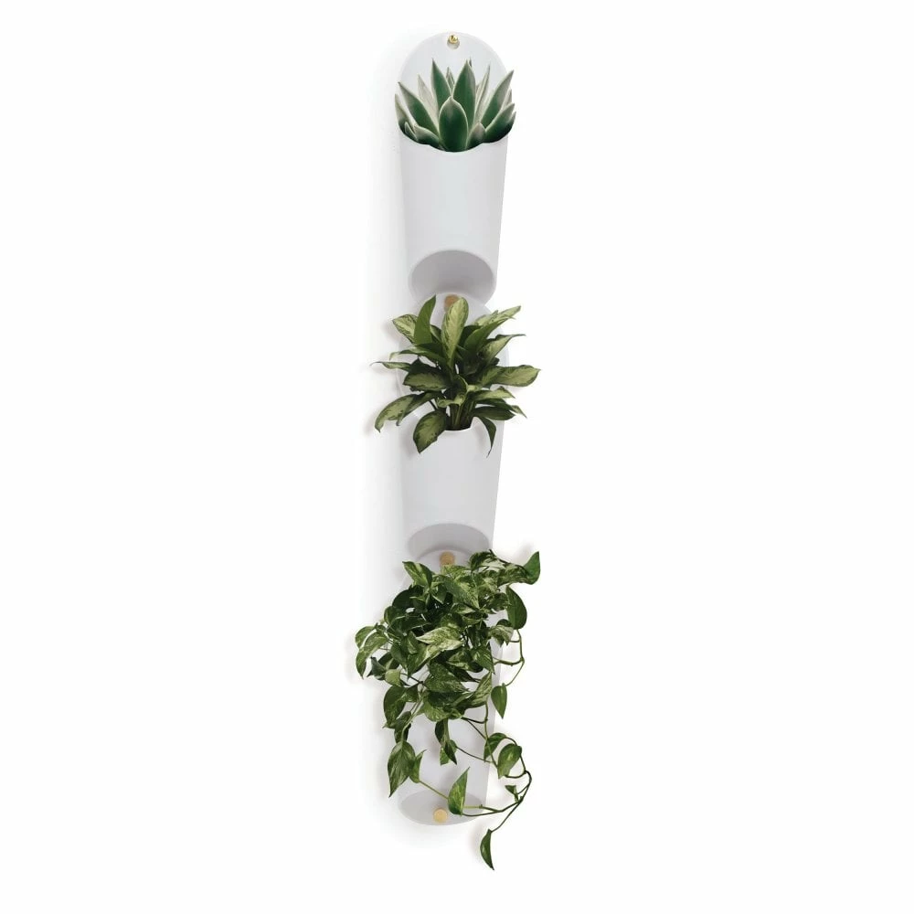 Umbra Set of 3 White Floralink Wall-Mounted Organiser/Planters 3 Umbra Set of 3 White Floralink Wall-Mounted Organiser/Planters