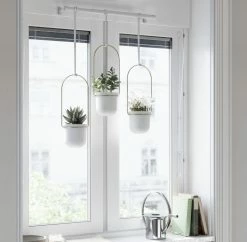 Umbra Triflora White and Brass 3 Hanging Planters 9 Umbra Triflora White and Brass 3 Hanging Planters