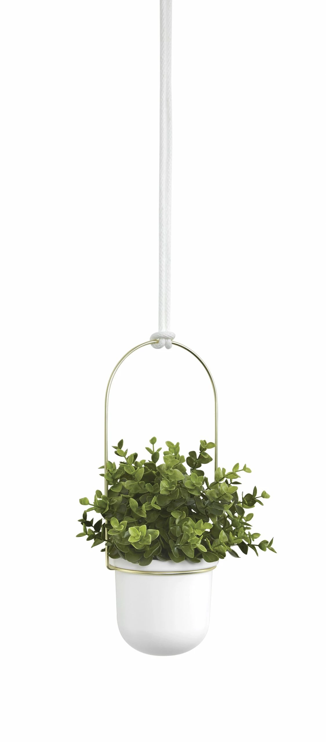 Umbra White/Brass Triflora Hanging Planter 8 Umbra White/Brass Triflora Hanging Planter