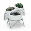 Umbra Set of 3 White & Nickel Potsy Planters 1 Umbra Set of 3 White & Nickel Potsy Planters