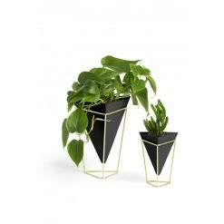 Umbra Black & Brass Trigg Desktop Planter Set