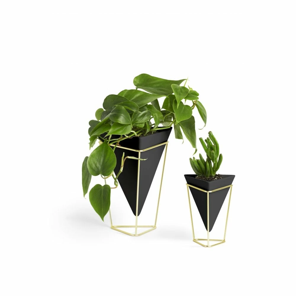 Umbra Black & Brass Trigg Desktop Planter Set 3 Umbra Black & Brass Trigg Desktop Planter Set