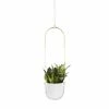 Umbra White Bolo Hanging Planter 2 Umbra White Bolo Hanging Planter