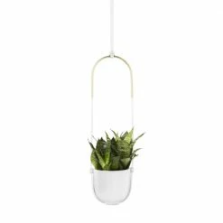 Umbra White Bolo Hanging Planter