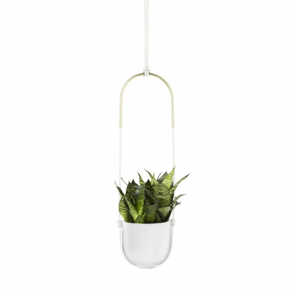 Umbra White Bolo Hanging Planter 3 Umbra White Bolo Hanging Planter